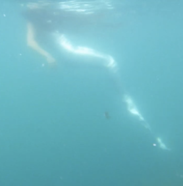 Log ind Dot's @ Lukkif (Official Music Video)